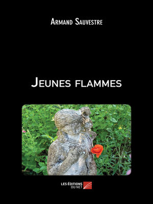 cover image of Jeunes flammes